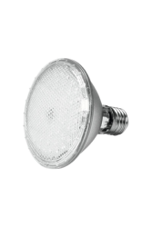 Ampoule PAR-30 10W E27 62 LEDs